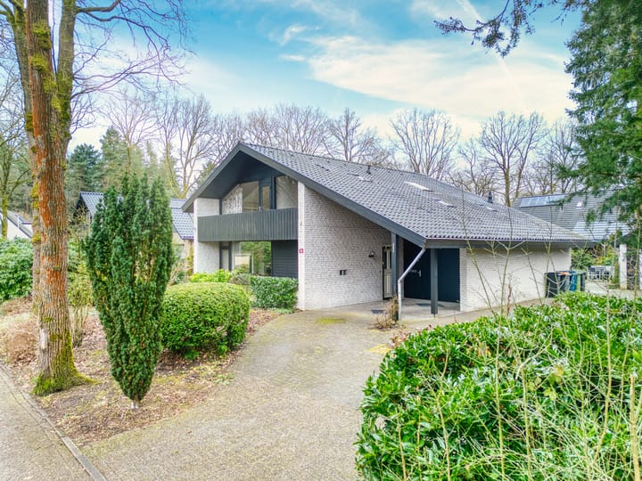 Rhienderstein 12 main image