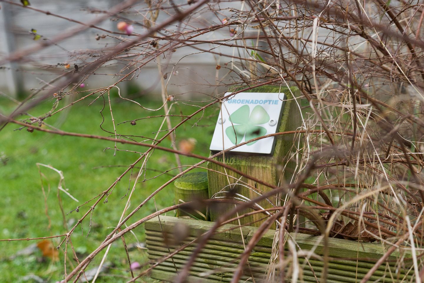 Foto 40 van Evenwichtstraat 17