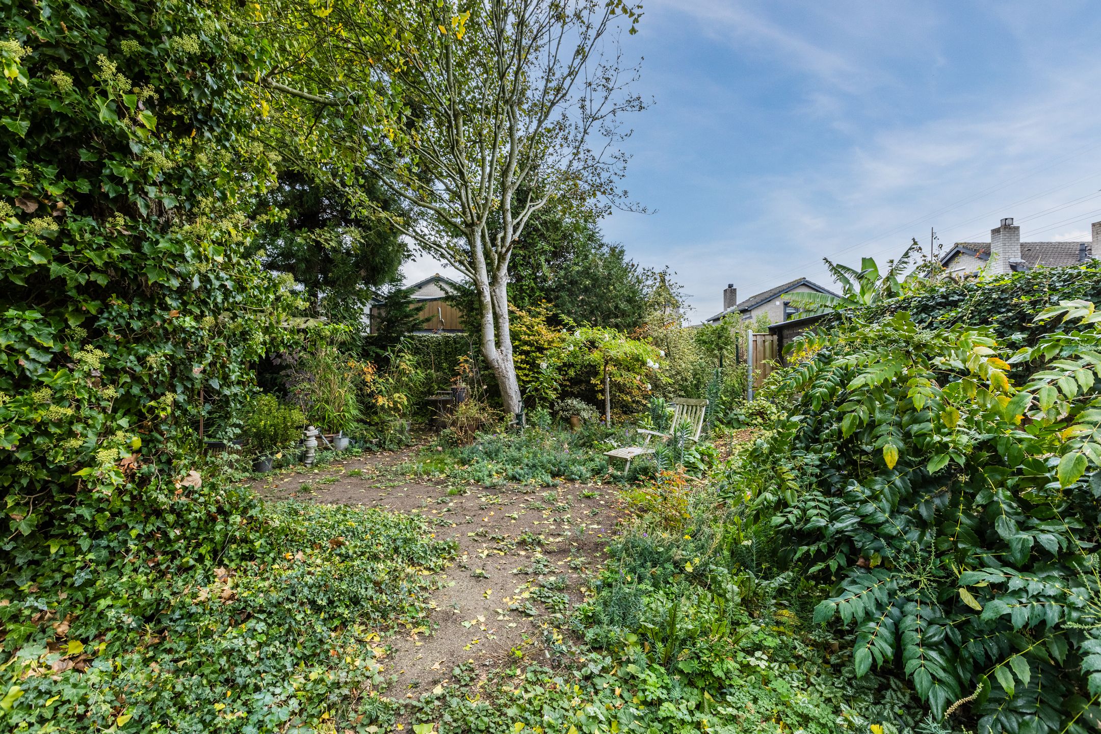 Photo 6 of Burgemeester Vlaklaan 17