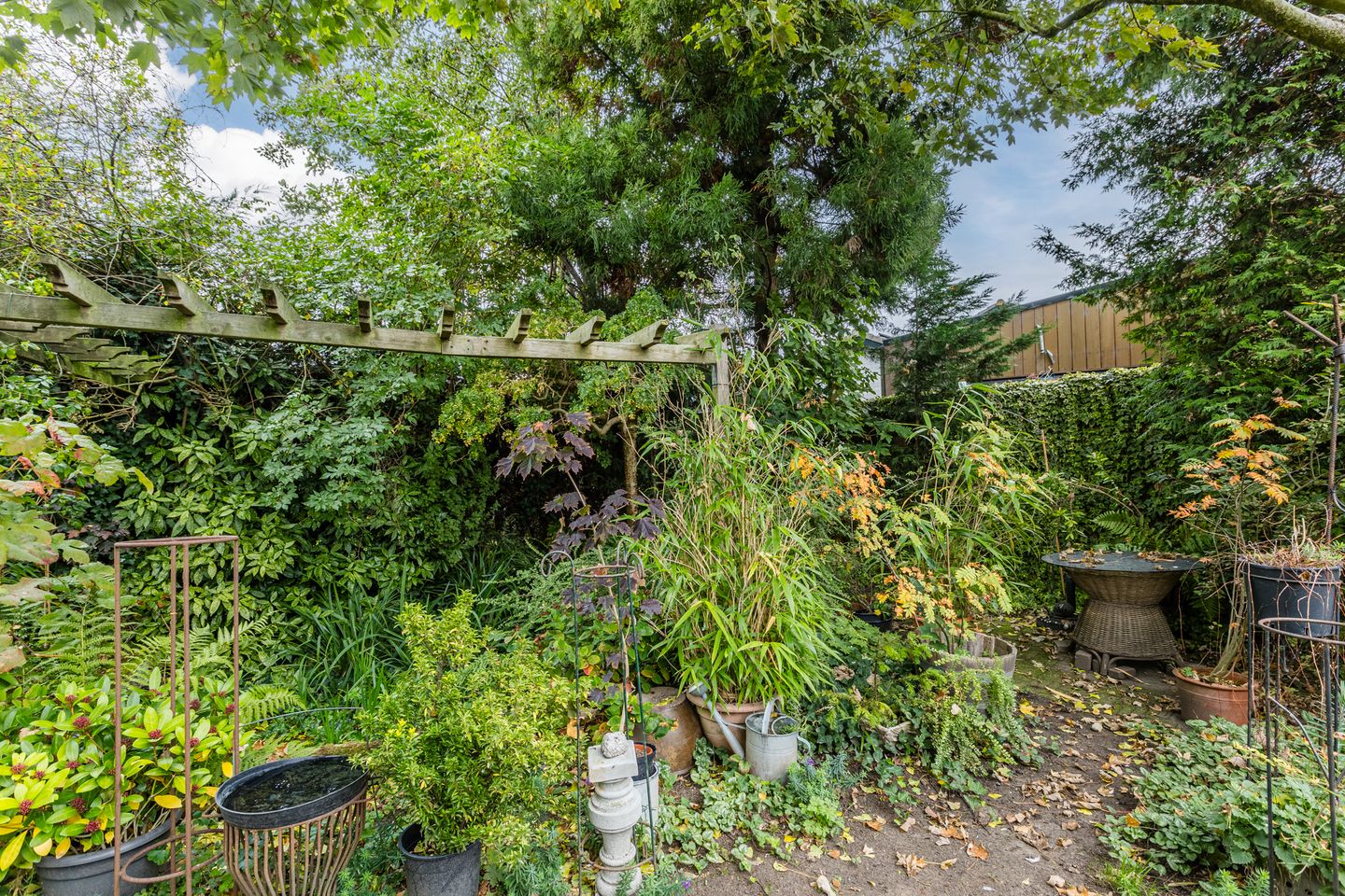 Photo 50 of Burgemeester Vlaklaan 17