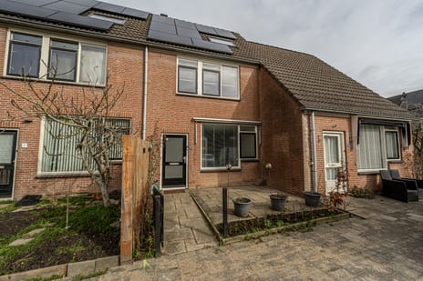 undefined main image