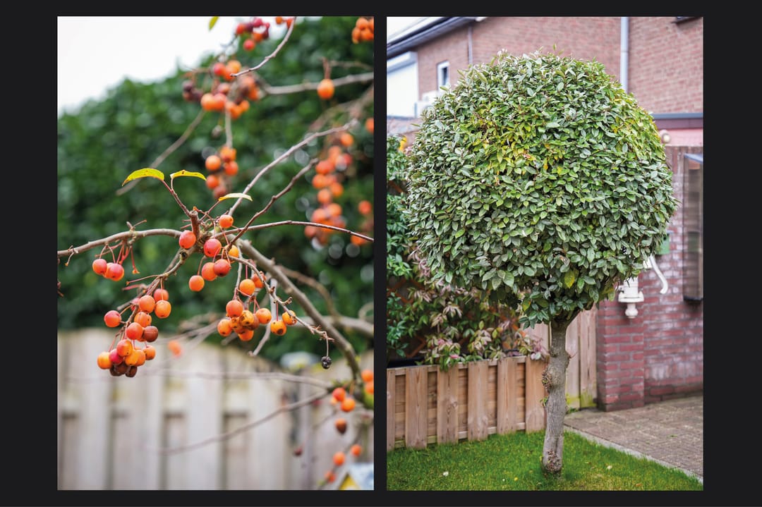 Foto 32 van Burg. van Goelst Meijerweg 5