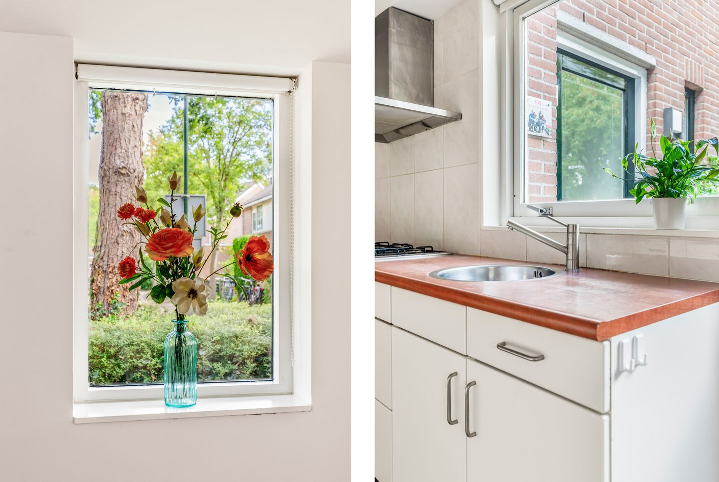 Foto 14 van Boekenstein 103