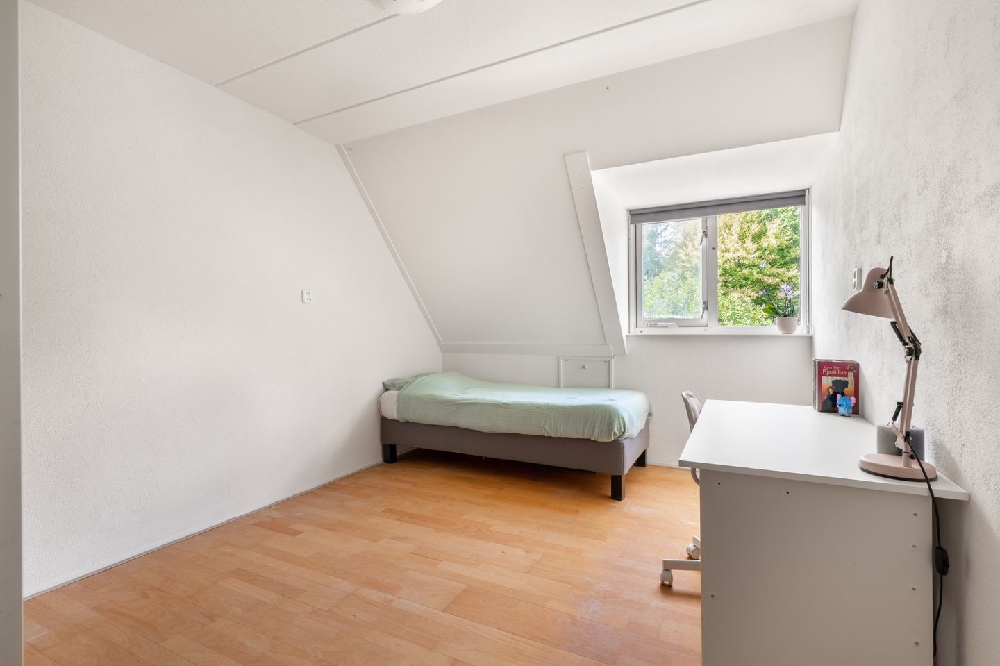 Foto 25 van Boekenstein 103