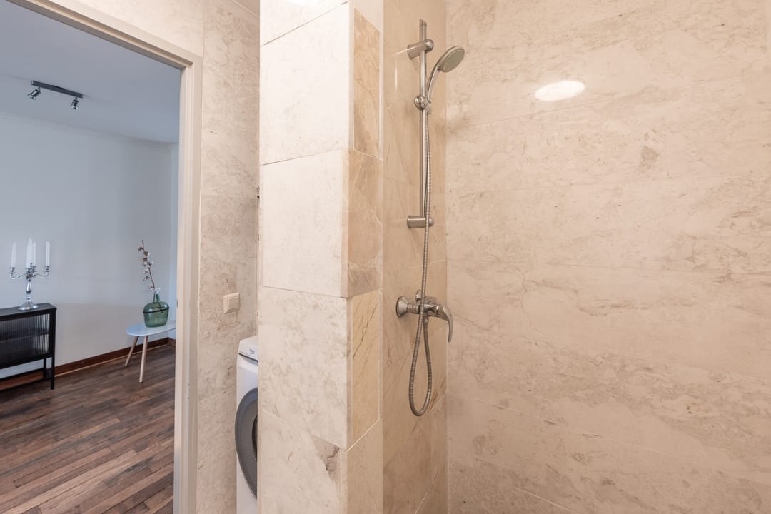 Foto 13 van Borgerstraat 256-3