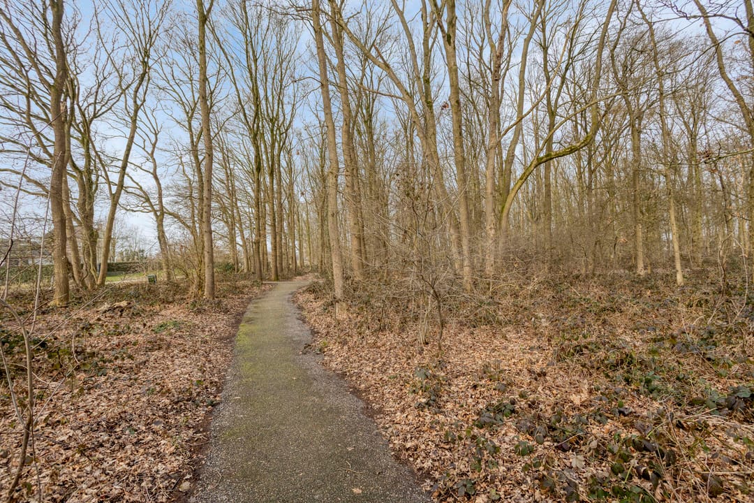 Foto 26 van Abersland 3529