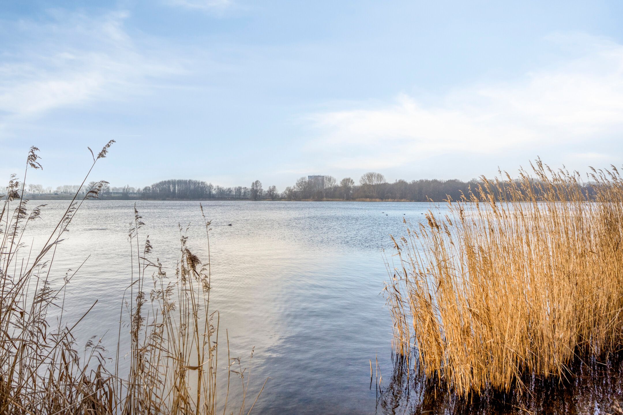 Foto 39 van Hitchcocklaan 41