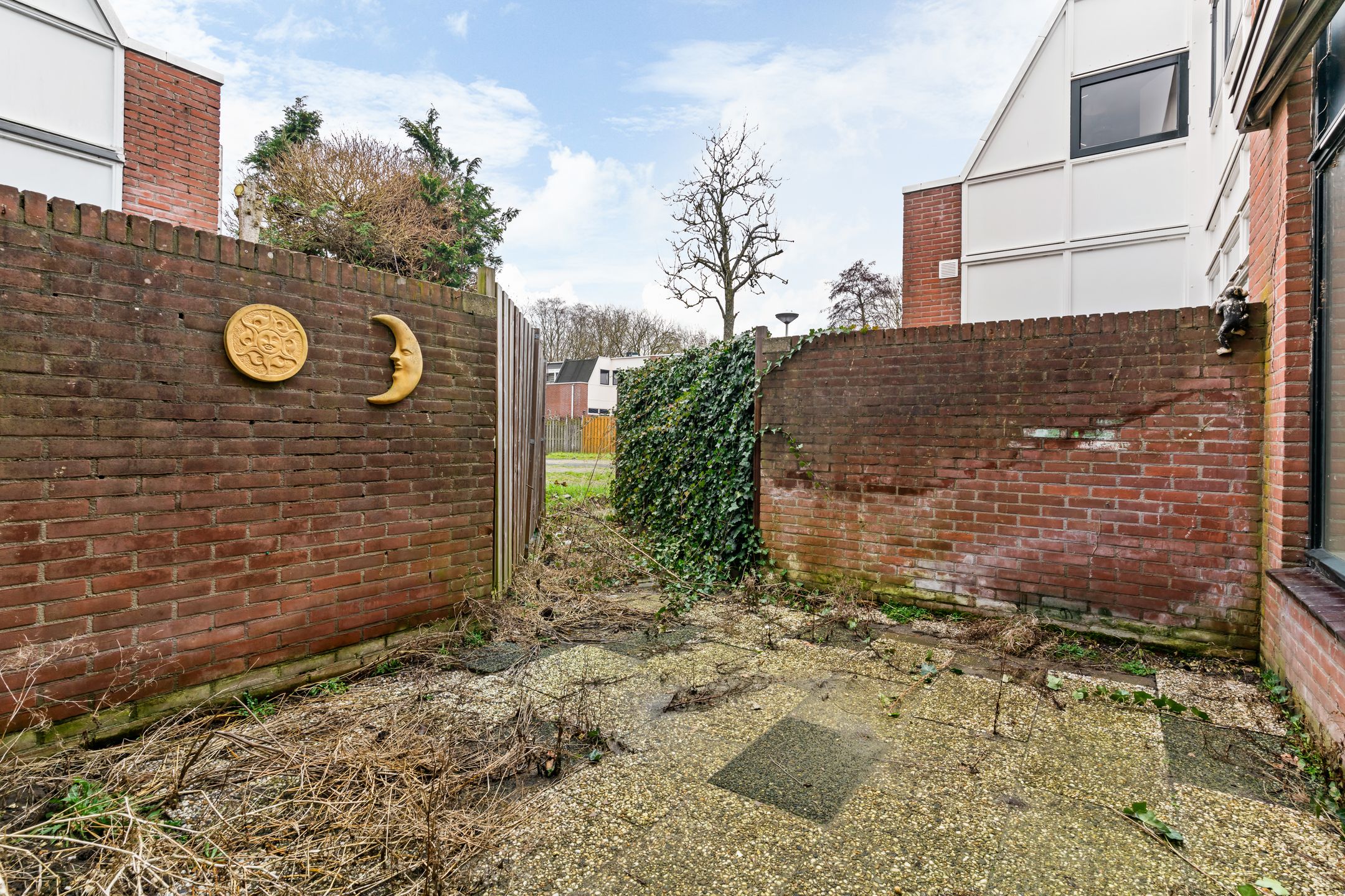 Photo 3 of Eekhoorntjesbrood 40