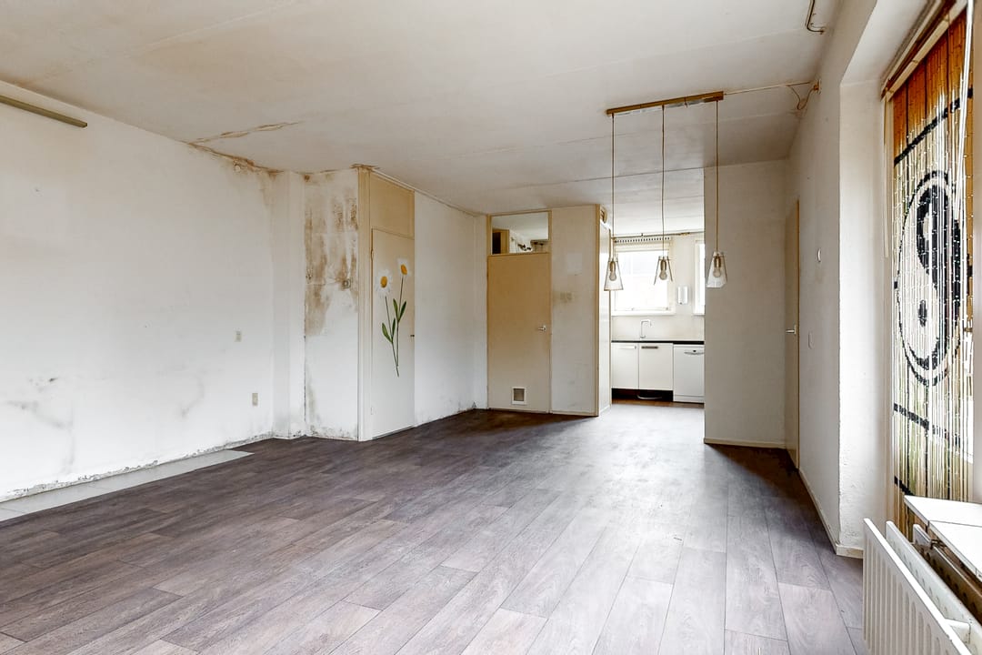 Photo 8 of Eekhoorntjesbrood 40