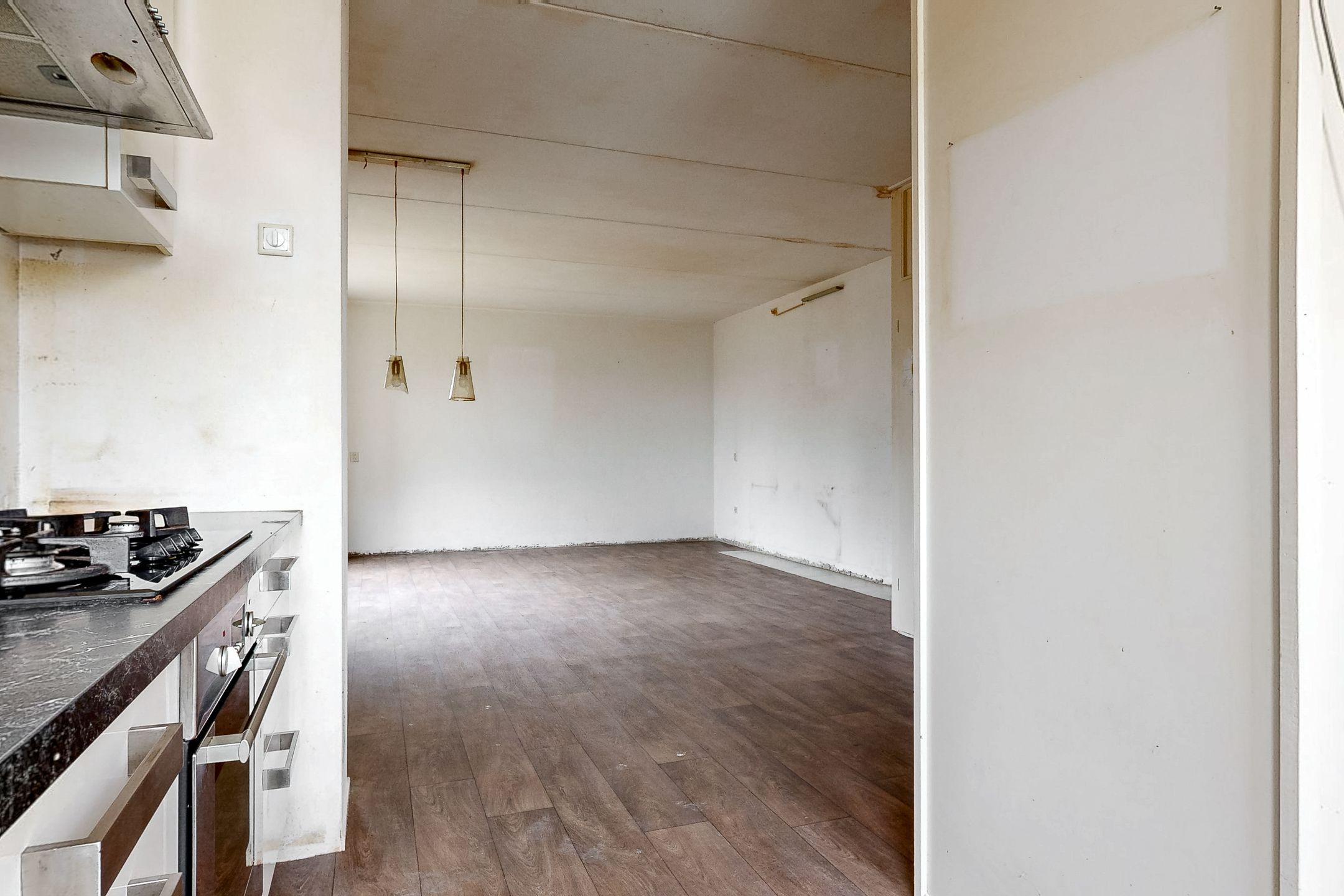 Photo 12 of Eekhoorntjesbrood 40