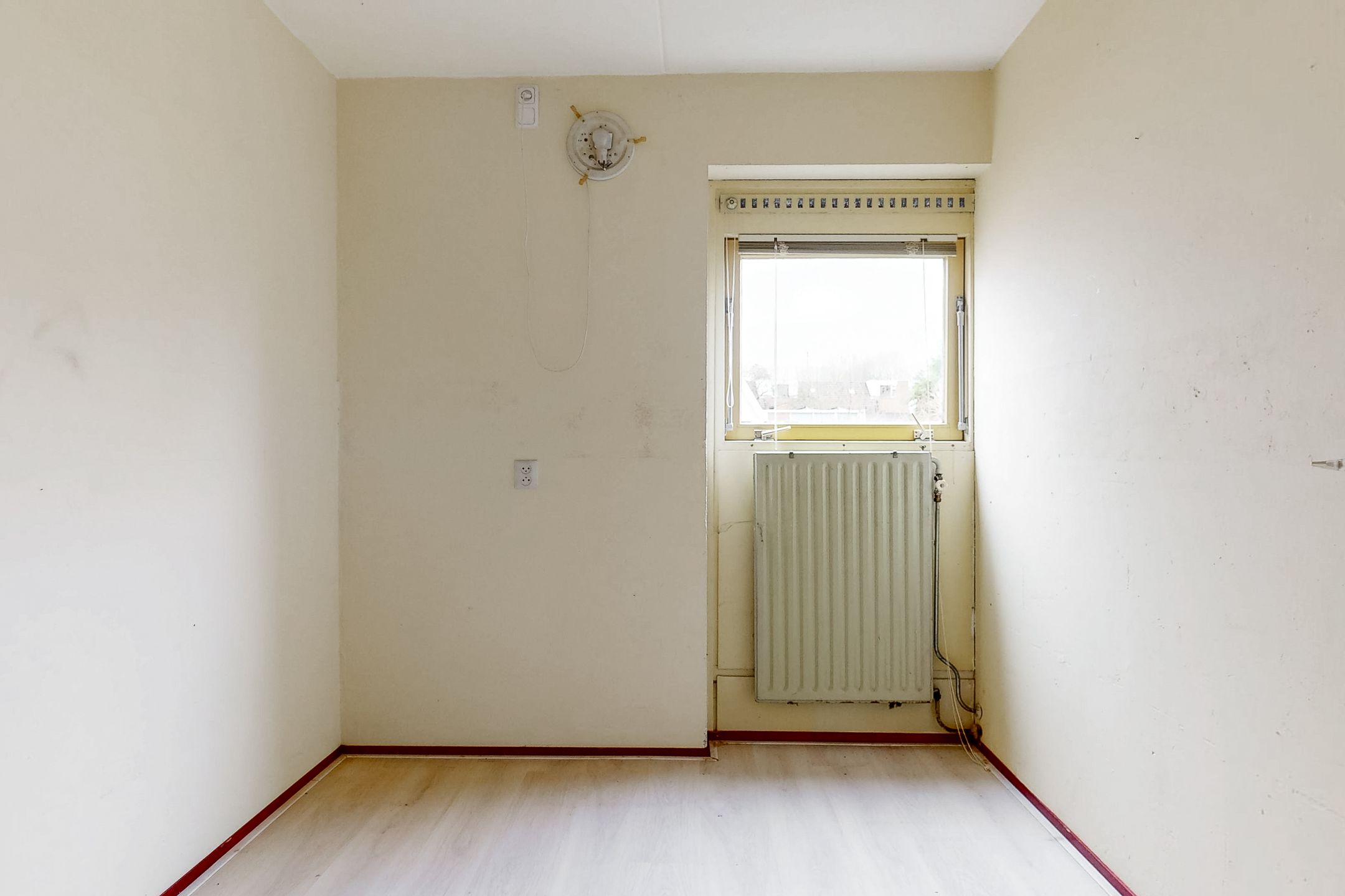 Photo 18 of Eekhoorntjesbrood 40