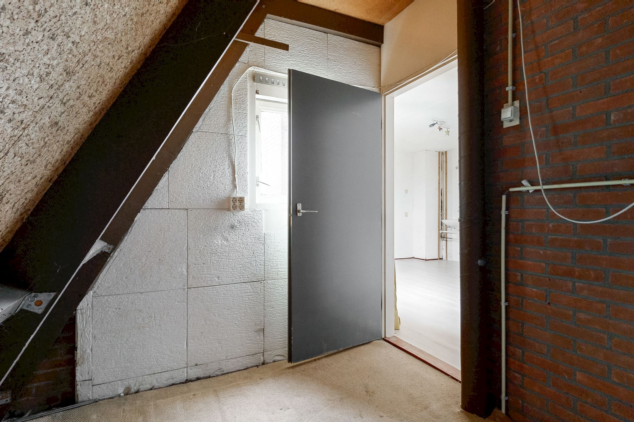 Photo 27 of Eekhoorntjesbrood 40