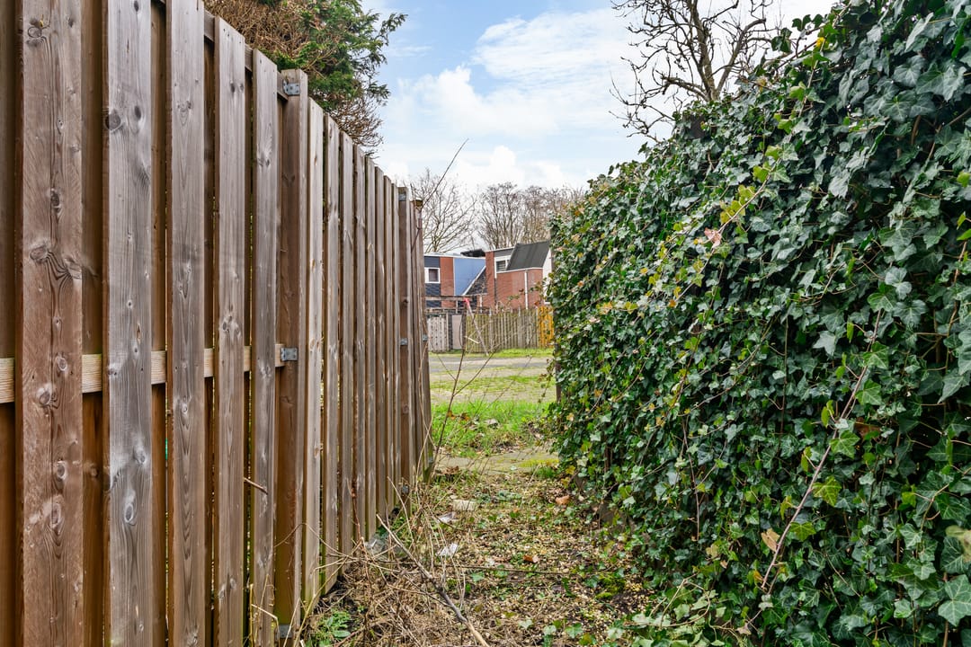 Photo 31 of Eekhoorntjesbrood 40