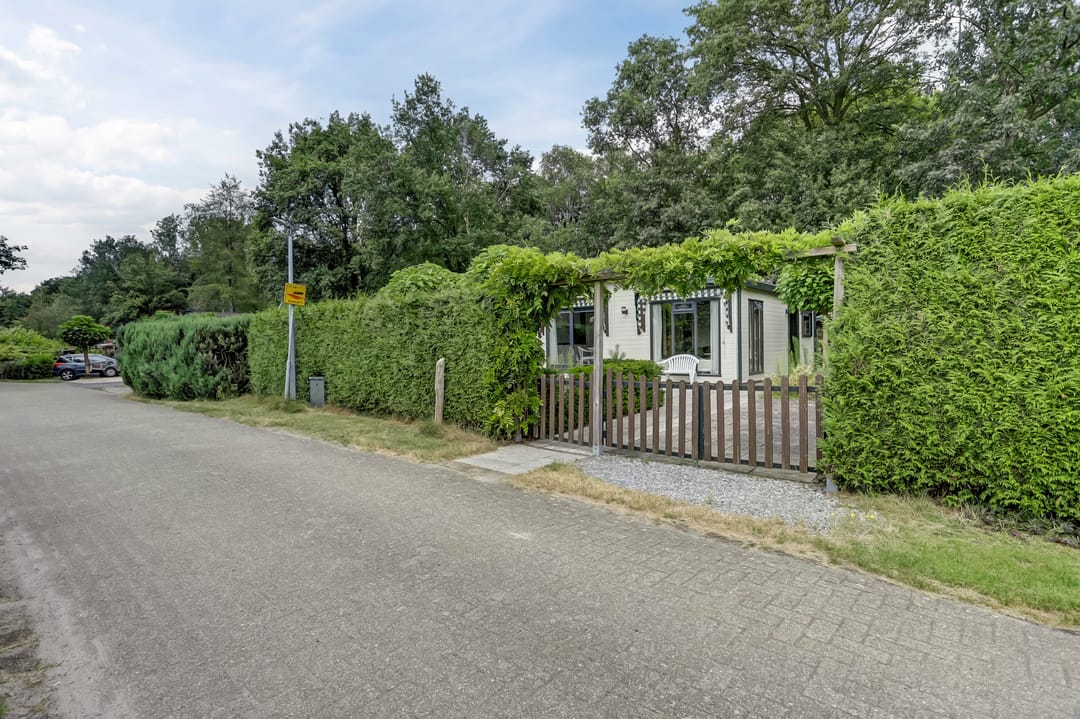 Foto 2 van Kievit 12-B599