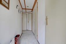 Afbeelding van Kievit 12-b599 - Derde foto