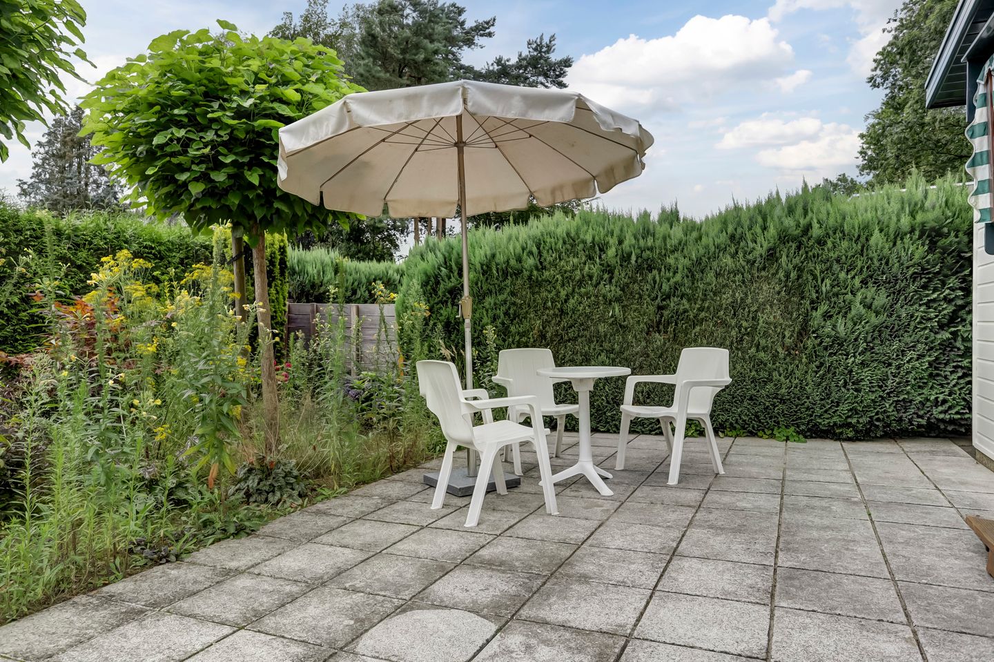 Foto 19 van Kievit 12-B599