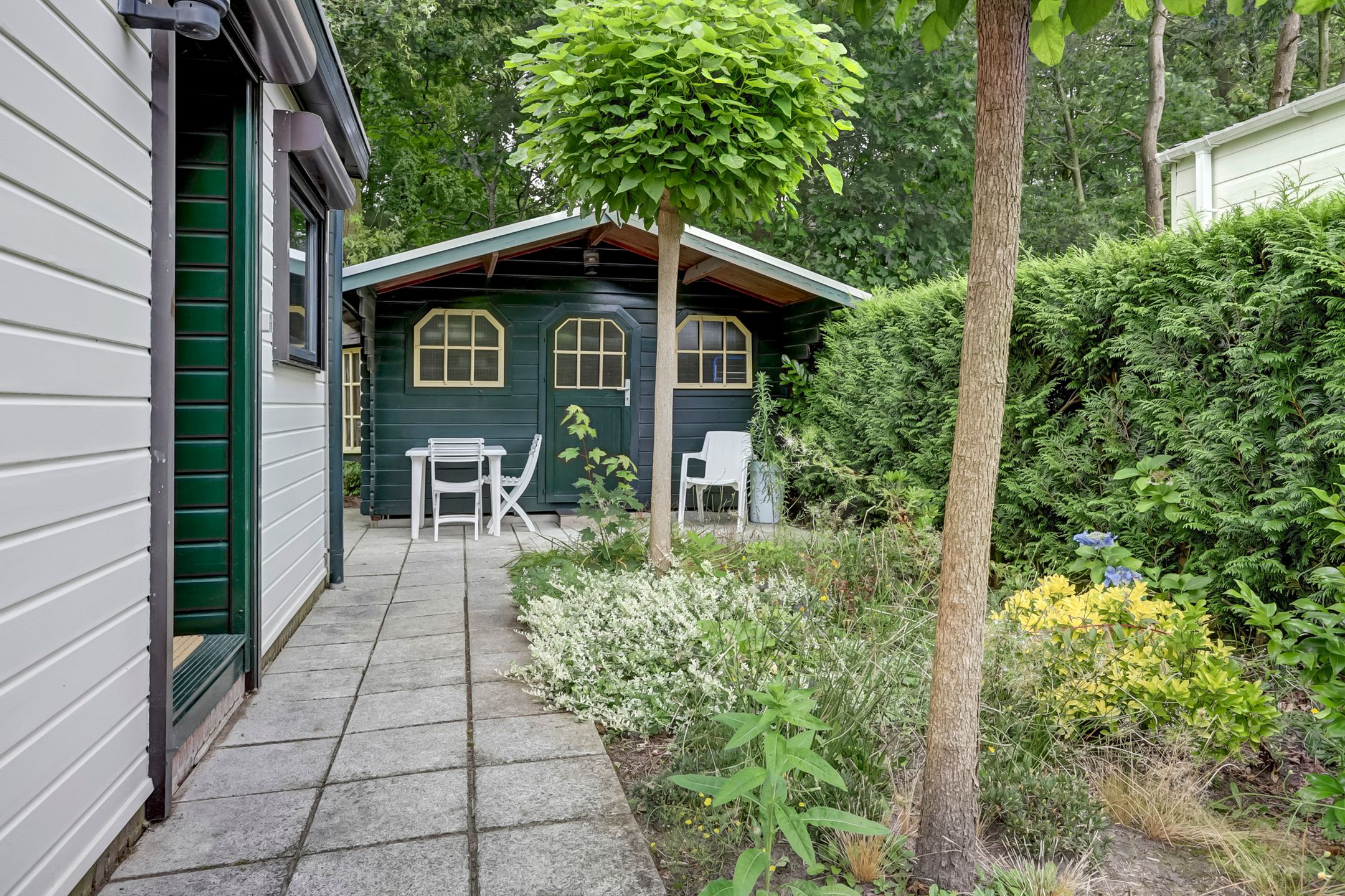 Foto 21 van Kievit 12-B599