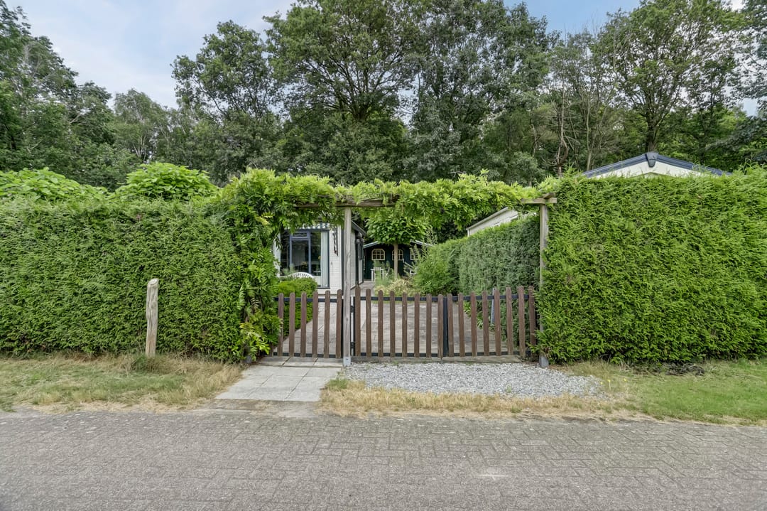 Foto 28 van Kievit 12-B599