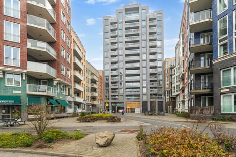 Jan Duikerhof thumbnail