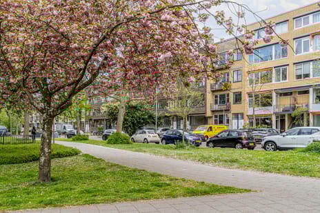 Schepenstraat thumbnail