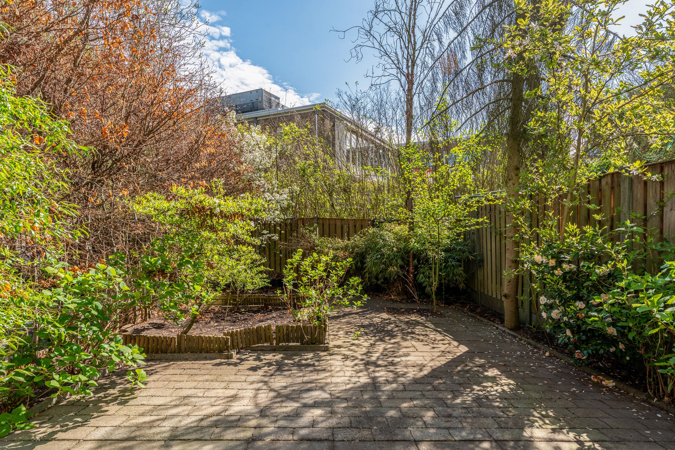 Photo 3 of Schepenstraat 56-B