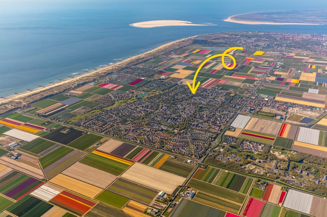 Foto 2 van Vogelzand 2706