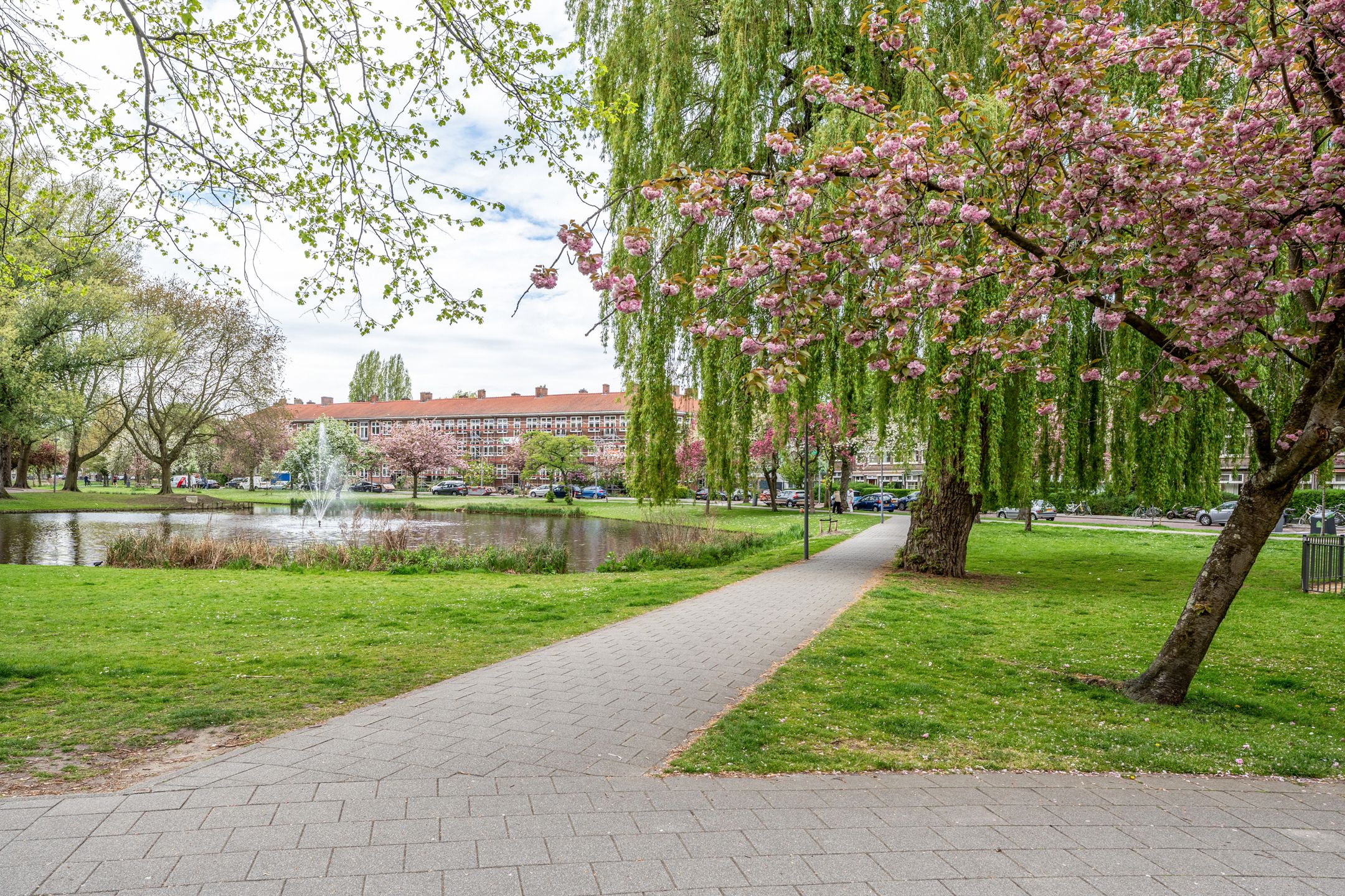 Photo 36 of Schepenstraat 56-B