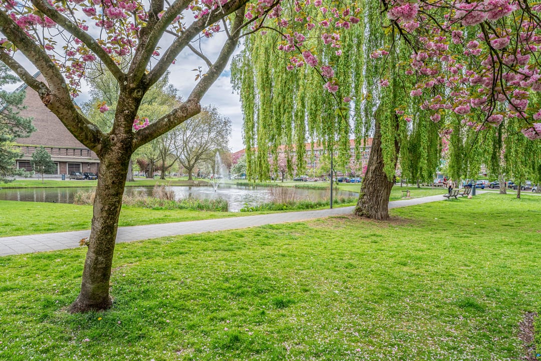 Photo 38 of Schepenstraat 56-B