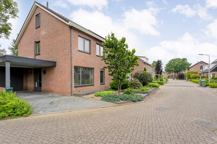 Foto 5 van Wulp 26