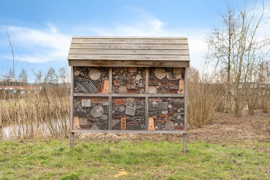 Foto 58 van Boermarke 32