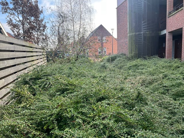 Foto 25 van Victorstaete 14