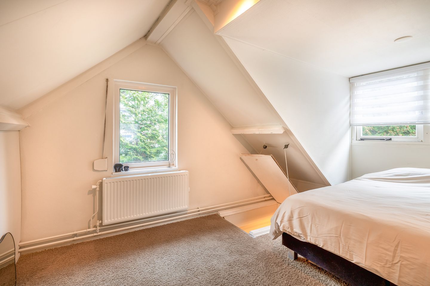 Foto 29 van Winterdijk 45