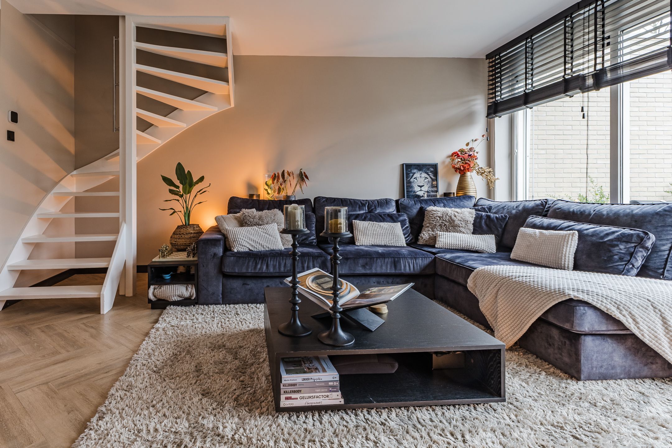 Foto 12 van P.J. Troelstrastraat 59