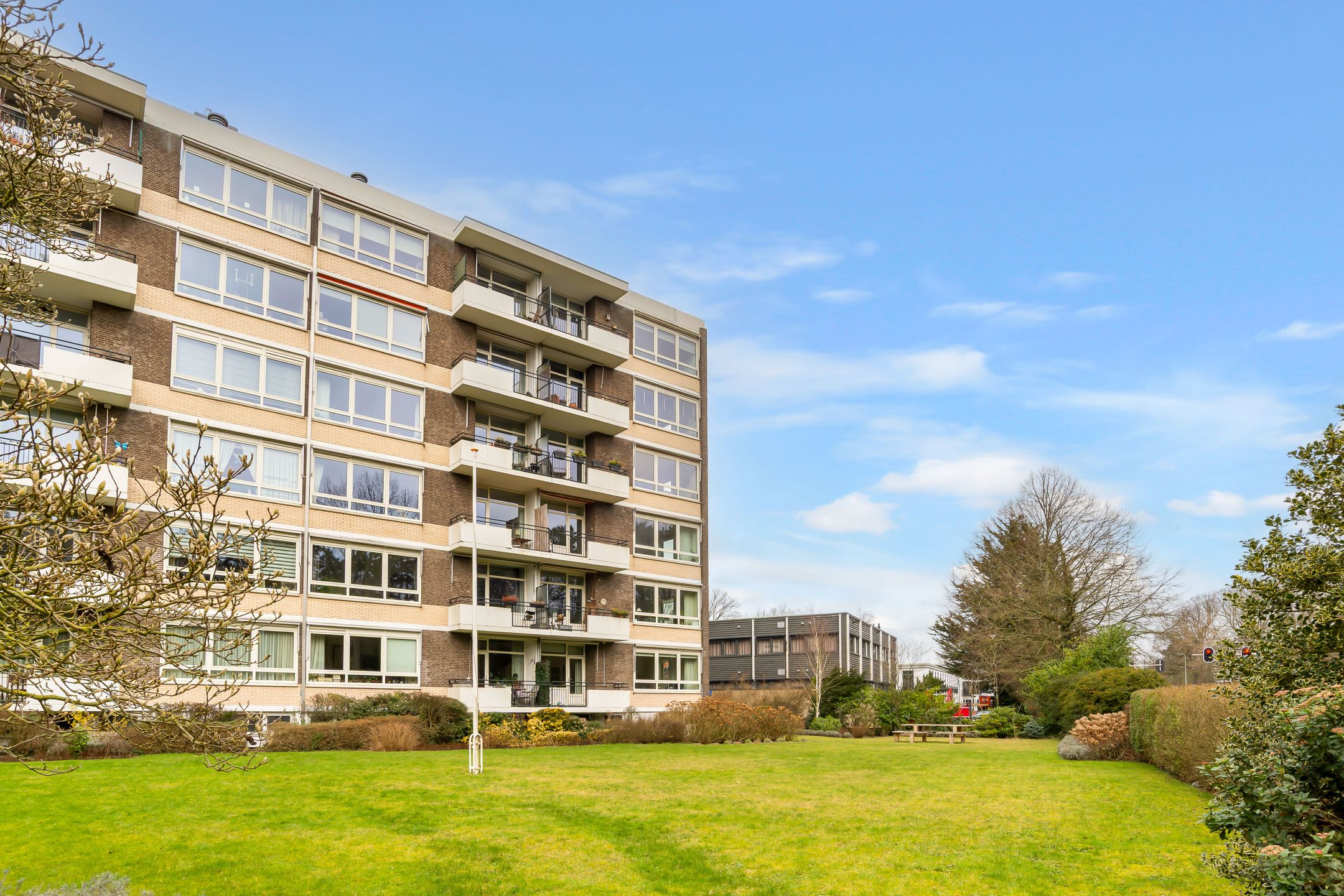 Foto 9 van Merwedeplantsoen 12