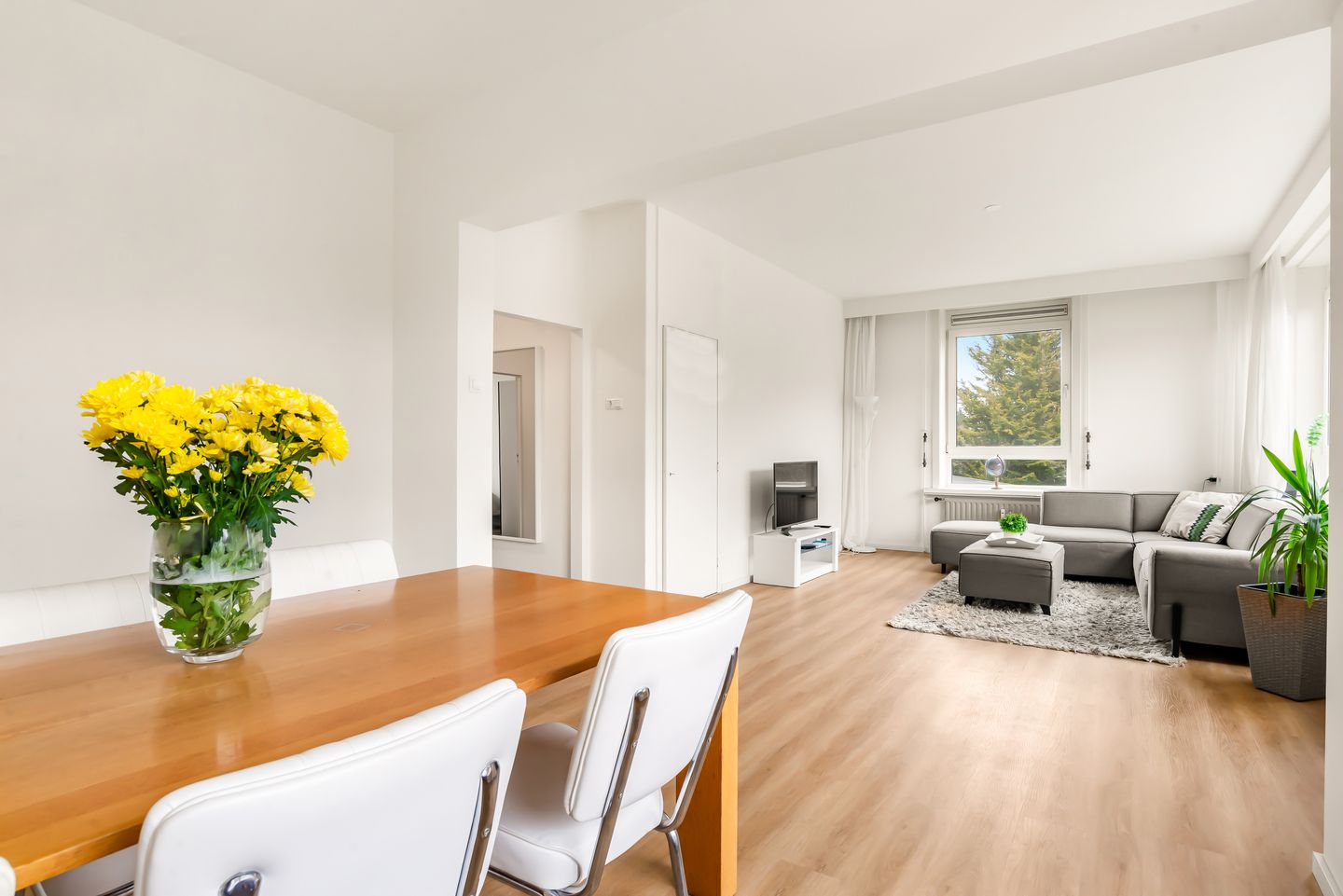 Foto 20 van Merwedeplantsoen 12