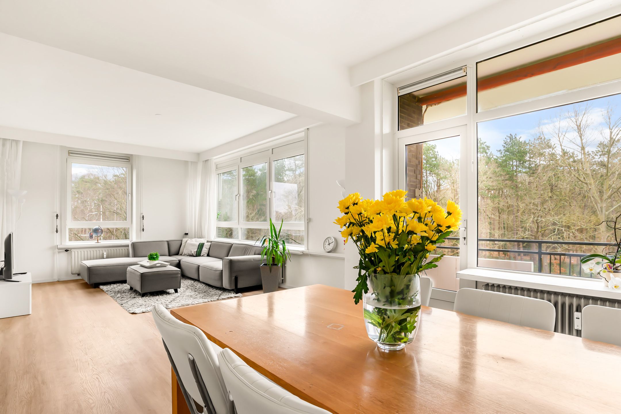 Foto 21 van Merwedeplantsoen 12