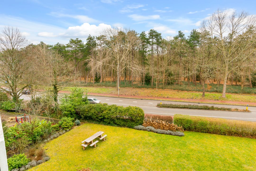 Foto 28 van Merwedeplantsoen 12