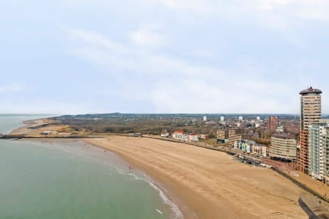 Boulevard Bankert 542 tertiary image