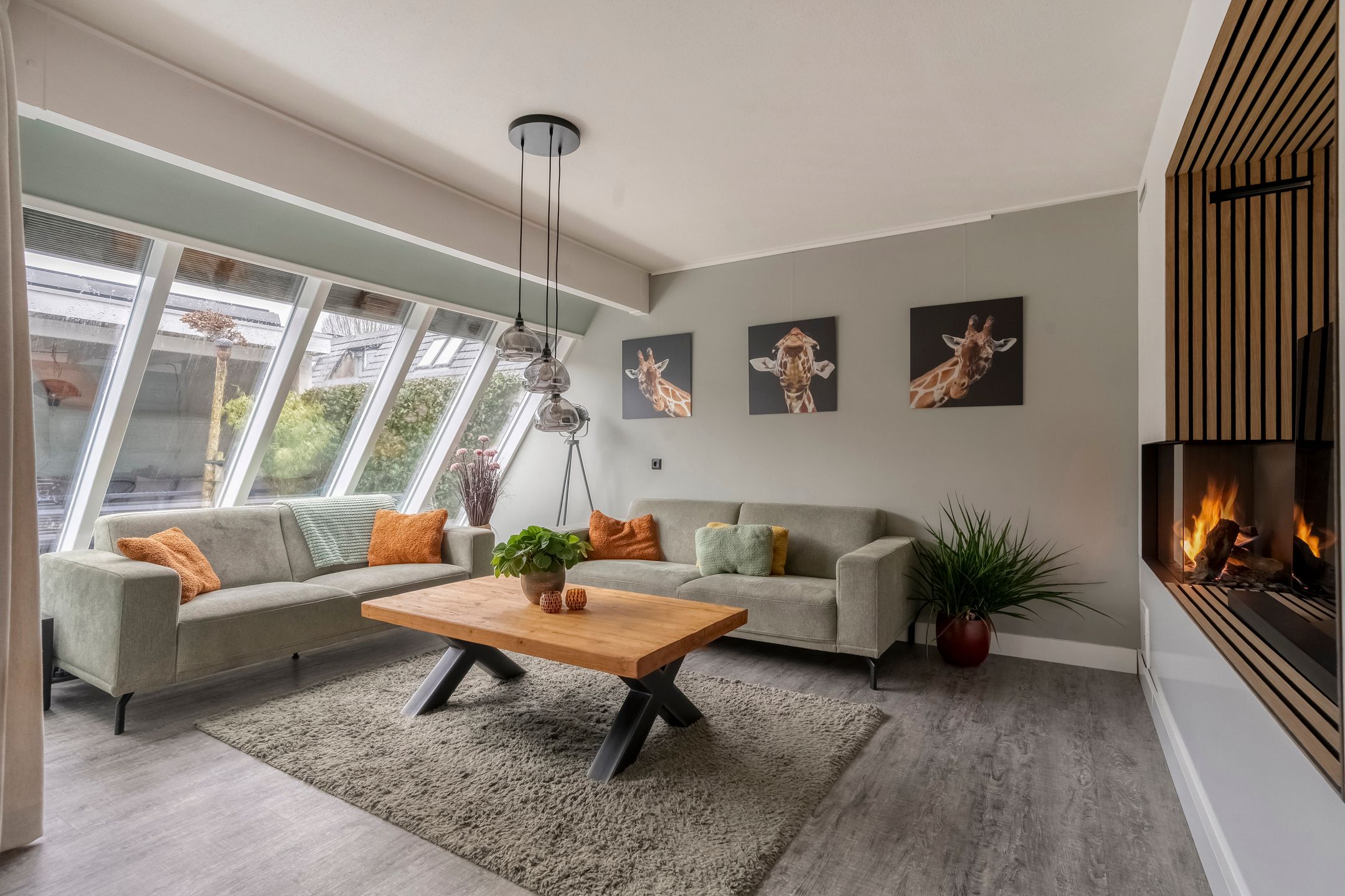 Foto 12 van Scriveriusmate 34