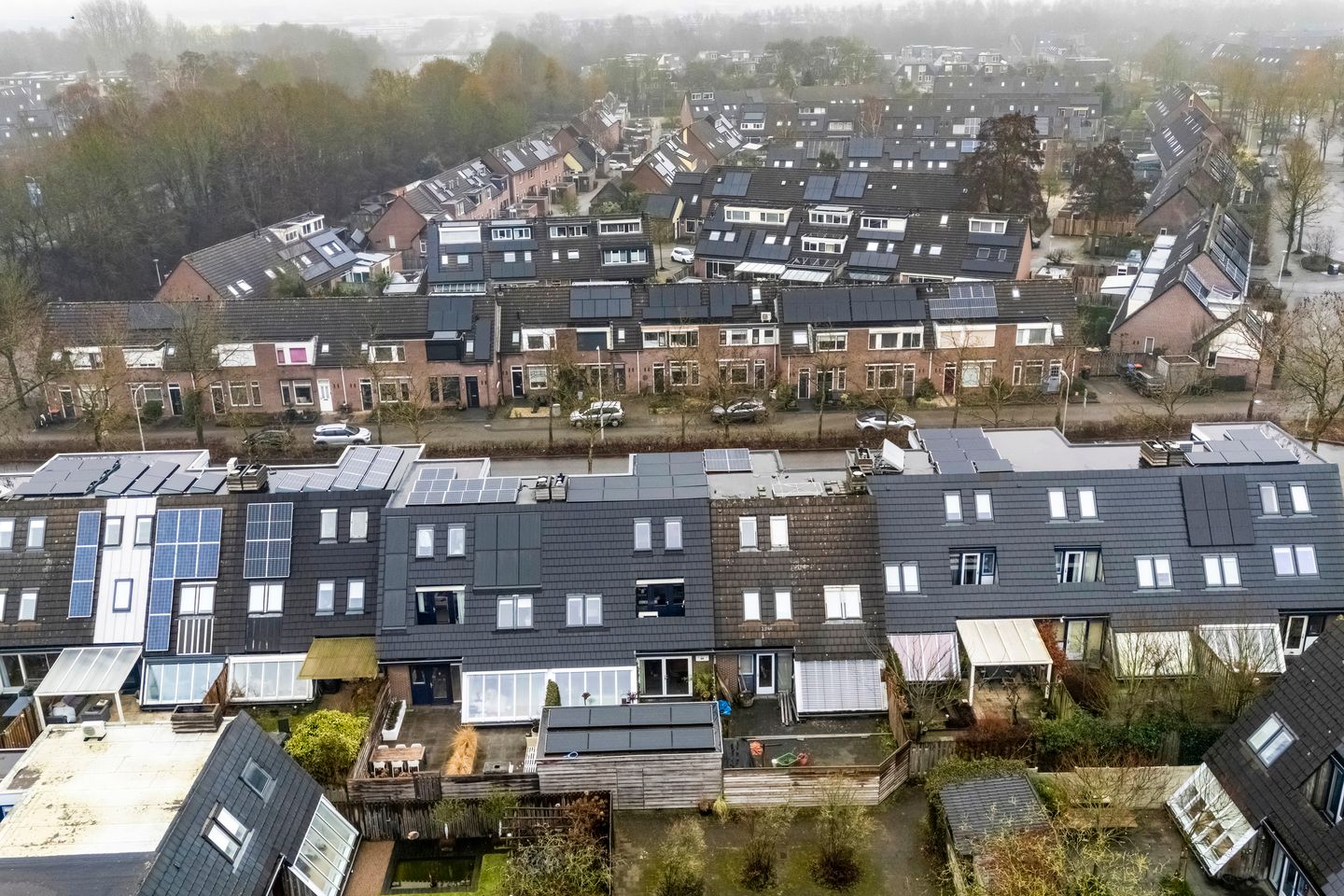 Foto 49 van Scriveriusmate 34