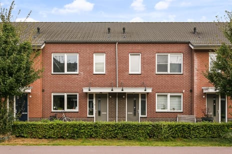 Krokussentuin - Tulpentuin - Lelietuin main image