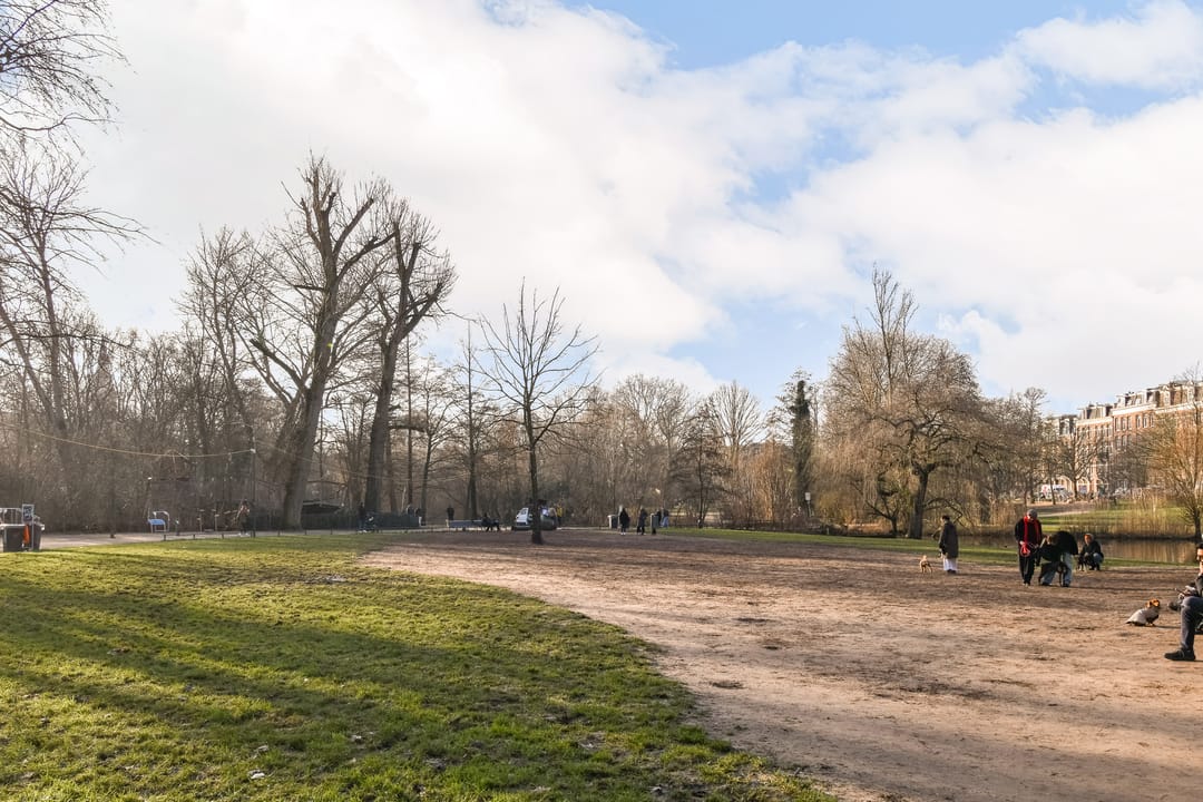 Foto 16 van Gerard Doustraat 79-G