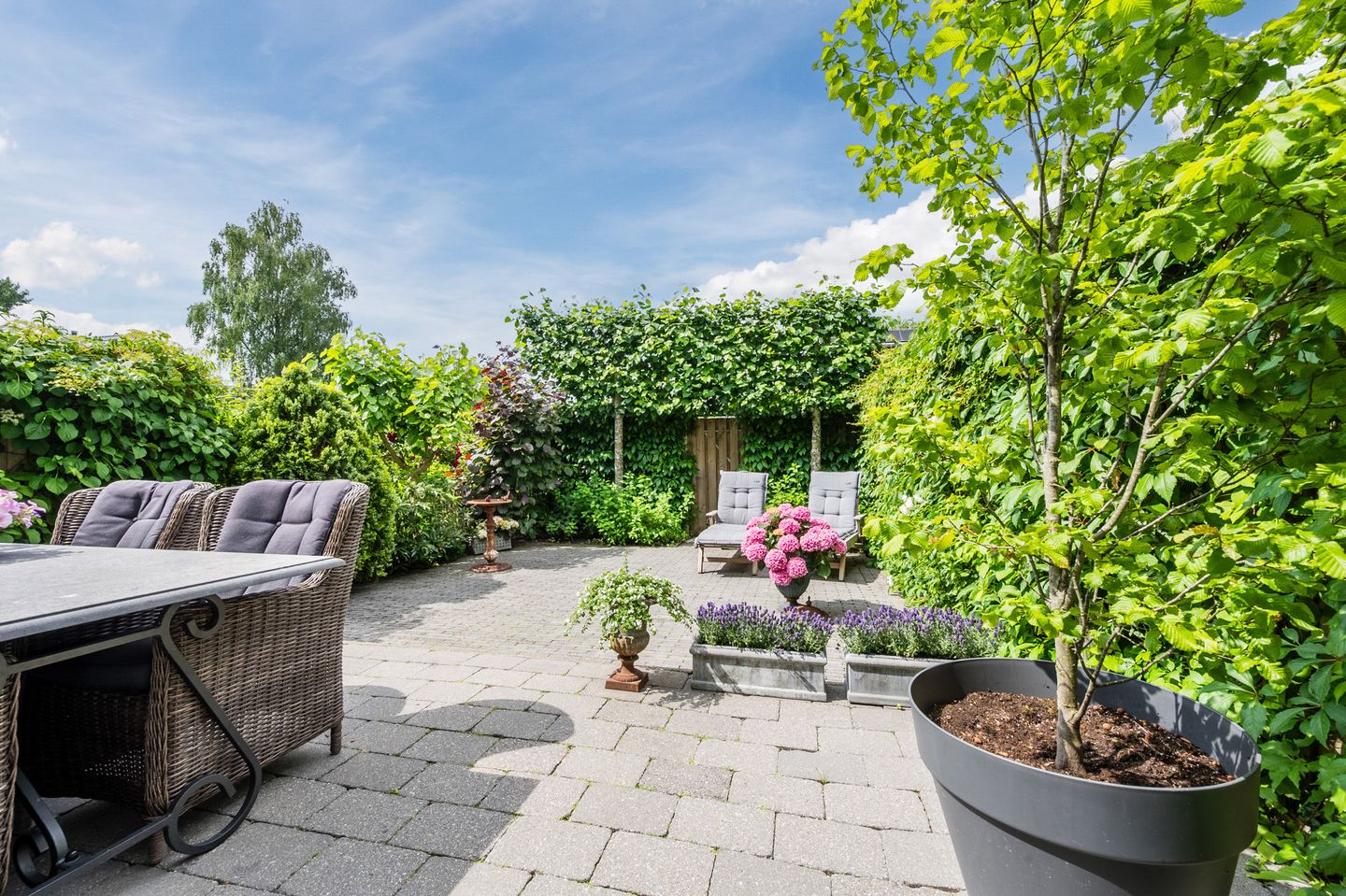 Foto 5 van Willem-Alexanderplantsoen 72