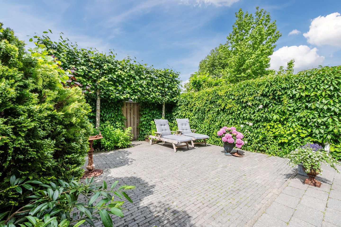 Foto 40 van Willem-Alexanderplantsoen 72