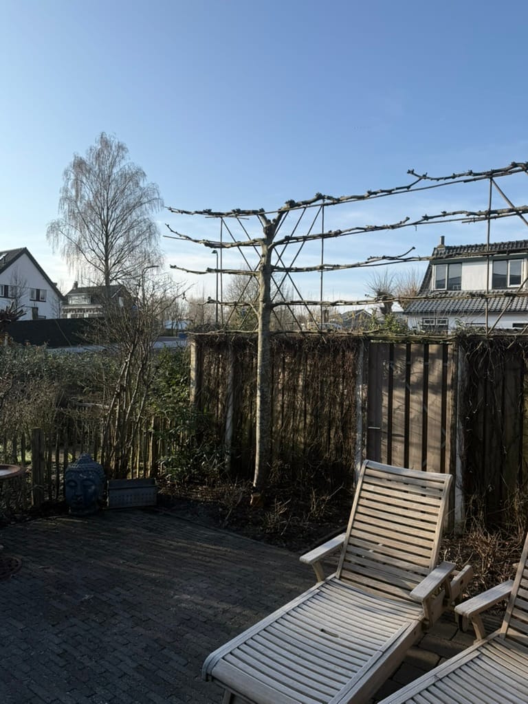 Foto 42 van Willem-Alexanderplantsoen 72