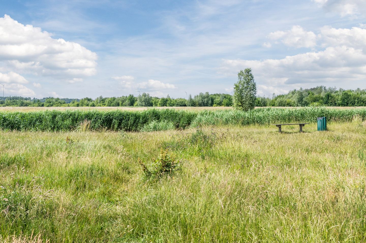 Foto 49 van Willem-Alexanderplantsoen 72