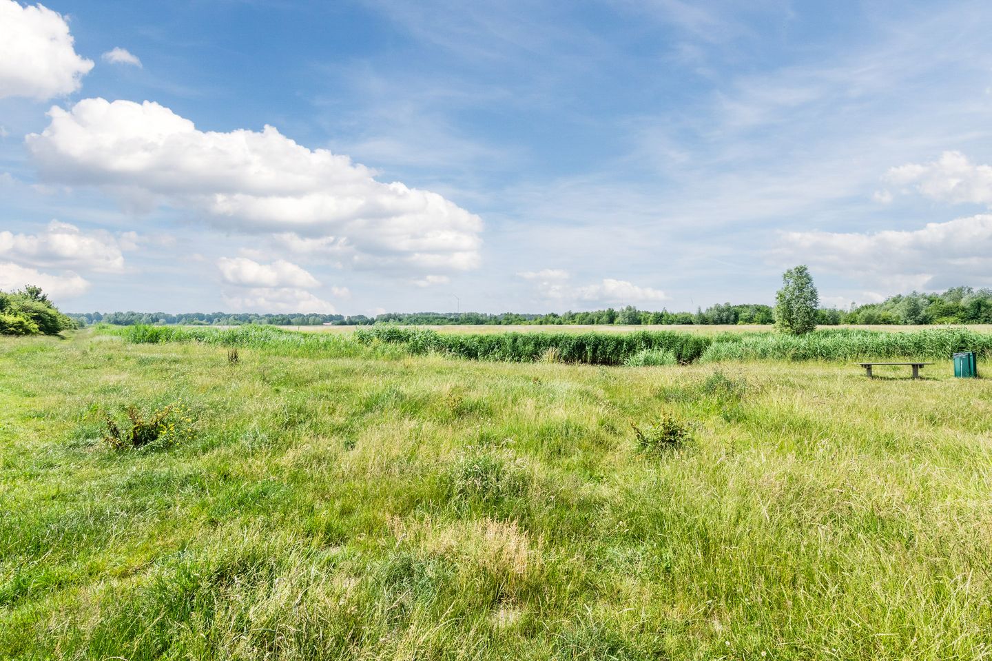 Foto 50 van Willem-Alexanderplantsoen 72