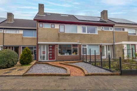 undefined main image