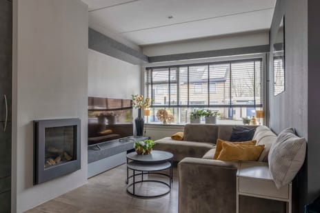 Fivel 9 secondary image