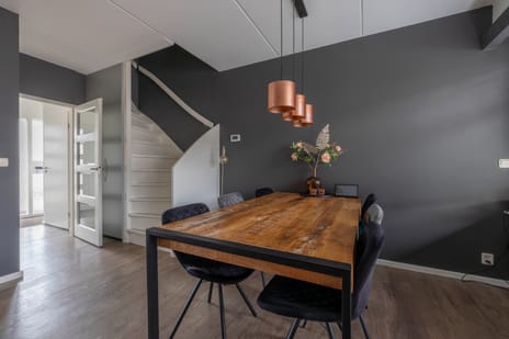 Fivel 9 tertiary image